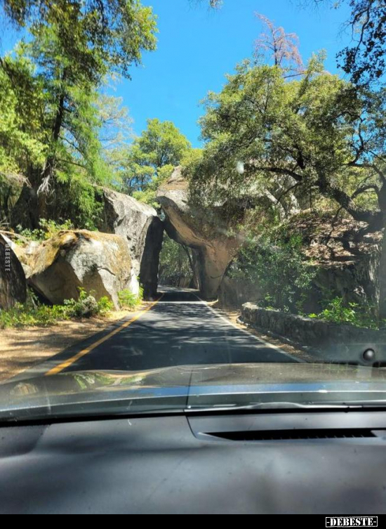  - Lustige Bilder | DEBESTE.de