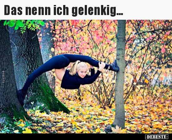 Das nenn ich gelenkig...