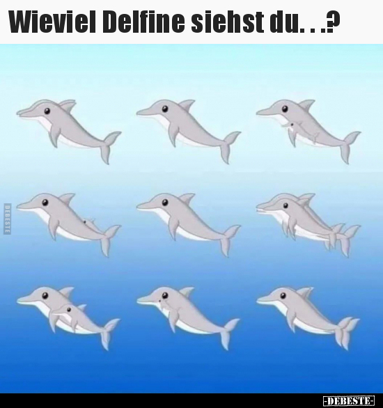 Wieviel Delfine siehst du..?.. - Lustige Bilder | DEBESTE.de