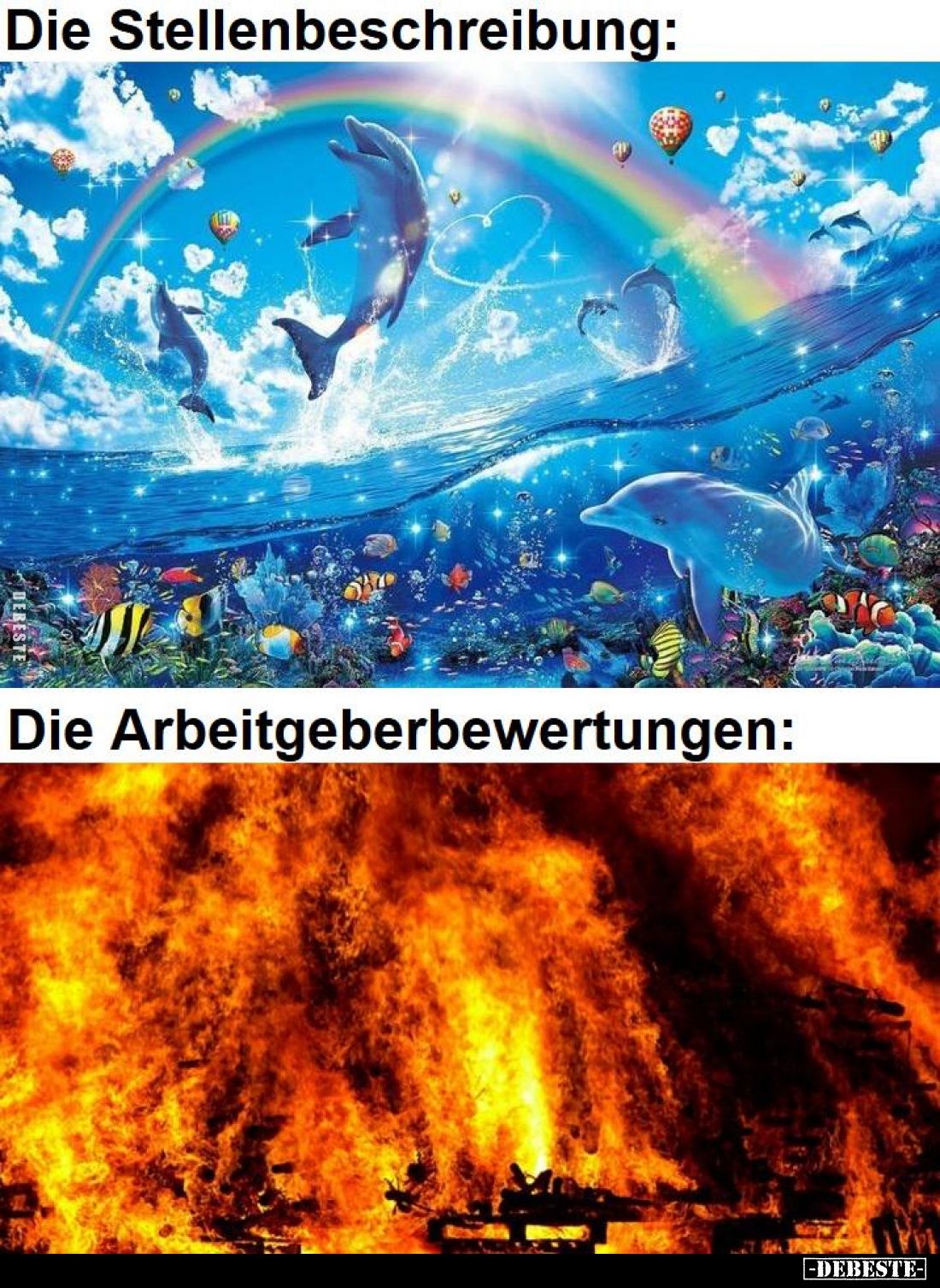 Die Stellenbeschreibung:
Die Arbeitgeberbewertungen: