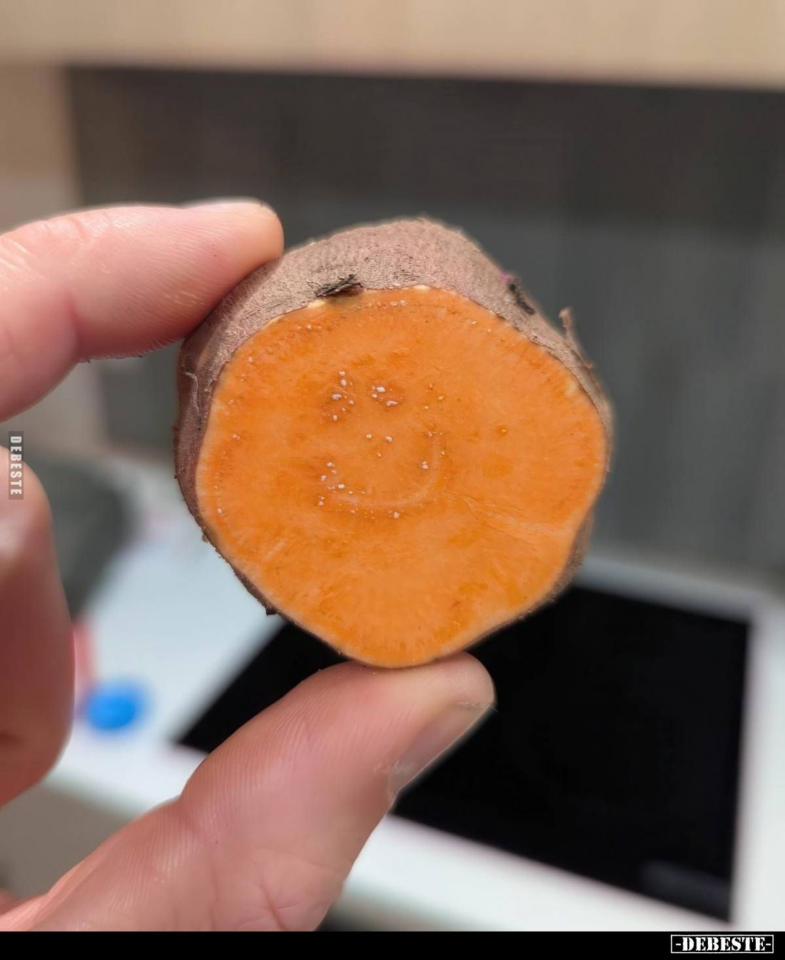  - Lustige Bilder | DEBESTE.de