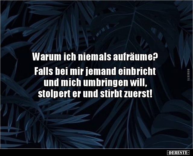 Warum ich niemals aufräume? Falls bei mir jemand.. - Lustige Bilder | DEBESTE.de