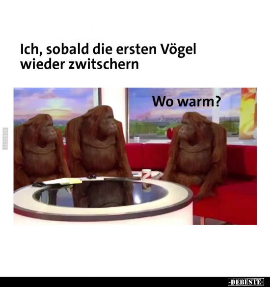 Ich, sobald die ersten Vögel wieder zwitschern.. - Lustige Bilder | DEBESTE.de