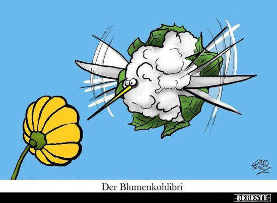 Der Blumenkohlibri... - Lustige Bilder | DEBESTE.de