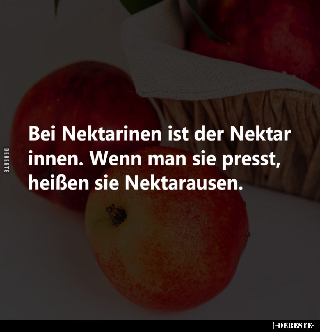Bei Nektarinen ist der Nektar innen. Wenn man sie presst, heißen sie Nektarausen.