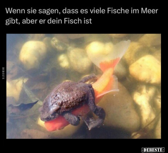 Wenn sie sagen, dass es viele Fische im Meer gibt, aber er.. - Lustige Bilder | DEBESTE.de