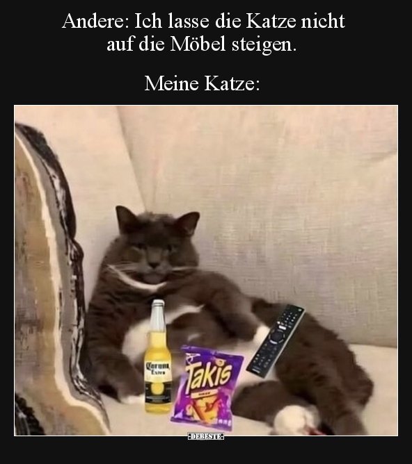 Andere: Ich lasse die Katze nicht auf die Möbel.. - Lustige Bilder | DEBESTE.de