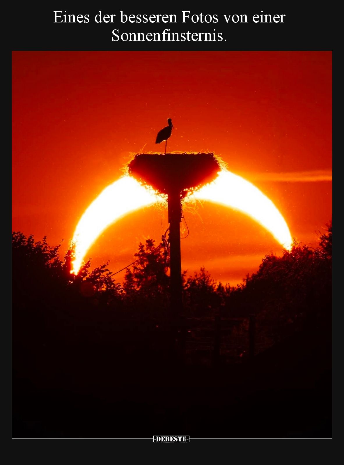 Eines der besseren Fotos von einer Sonnenfinsternis.