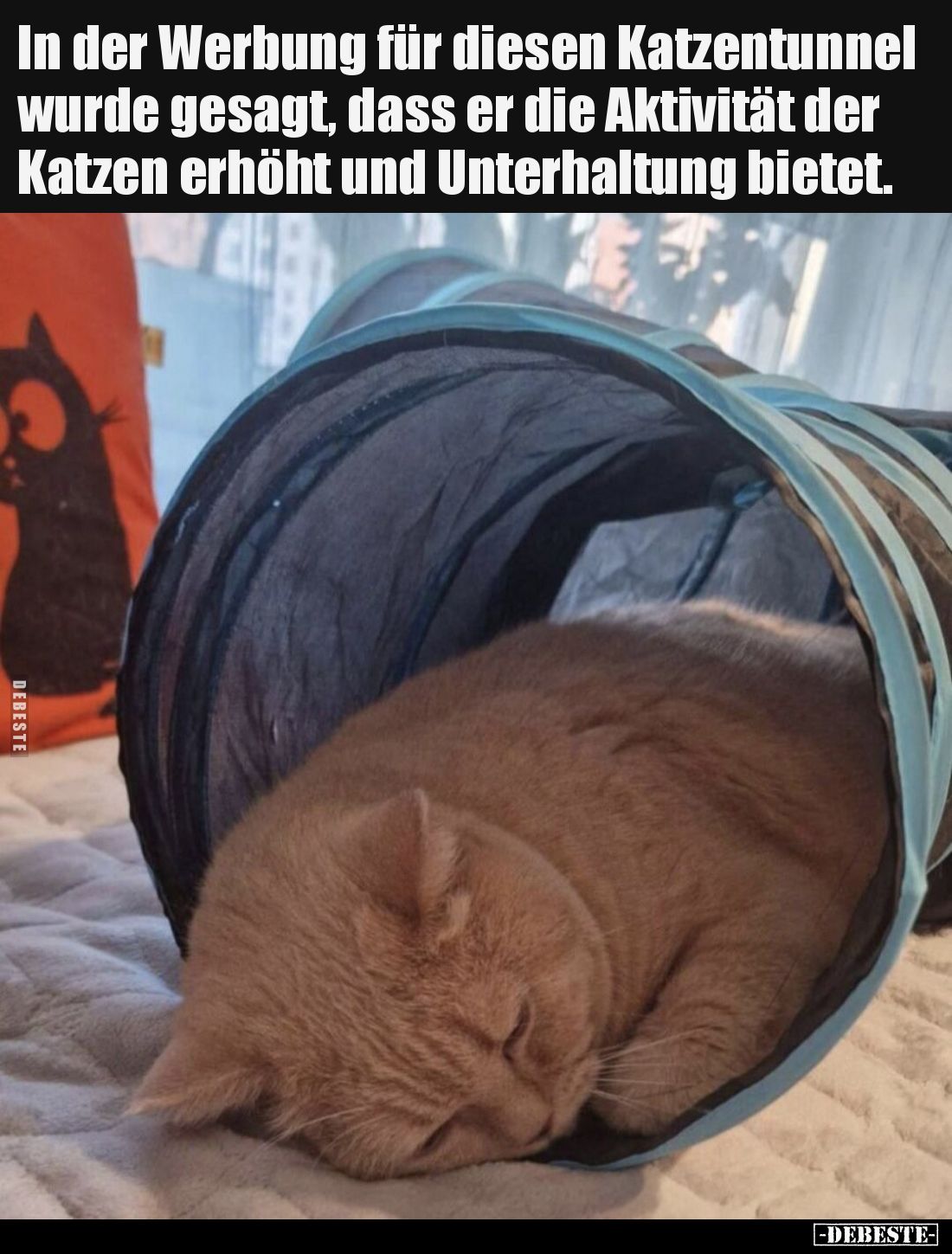 In der Werbung für diesen Katzentunnel wurde gesagt, dass er die Aktivität der Katzen erhöht und Unterhaltung bietet.