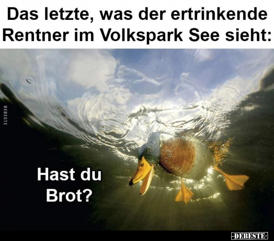 Das letzte, was der ertrinkende Rentner im Volkspark See.. - Lustige Bilder | DEBESTE.de