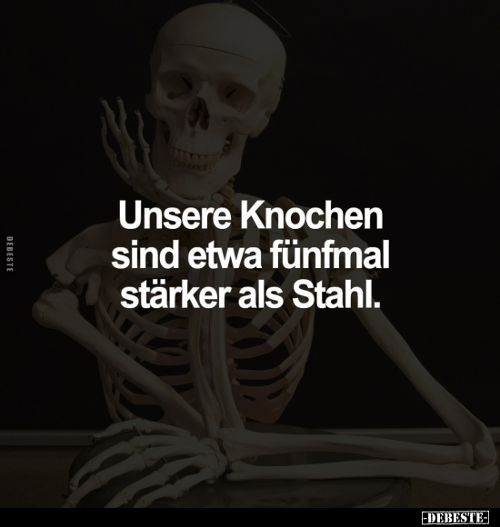 Unsere Knochen sind etwa fünfmal stärker als Stahl... - Lustige Bilder | DEBESTE.de