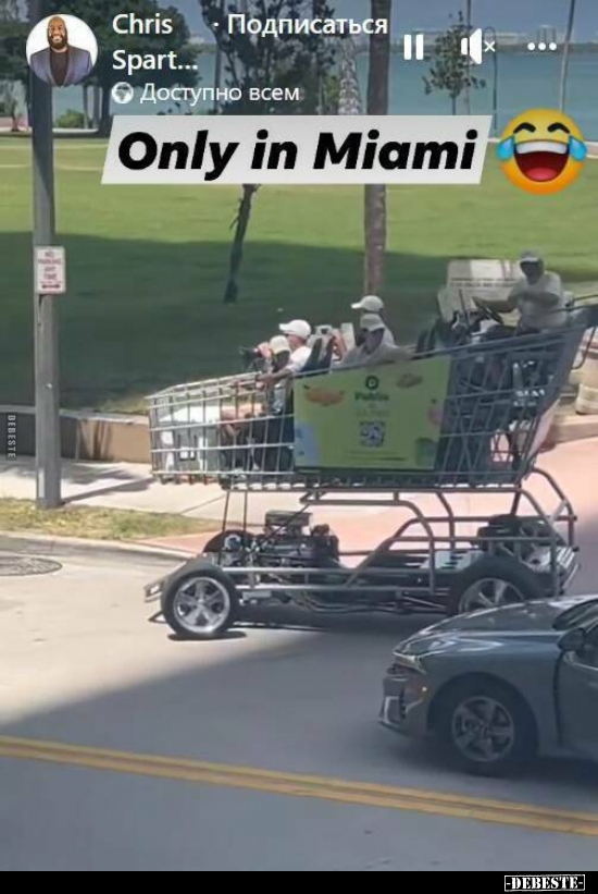 Only in Miami