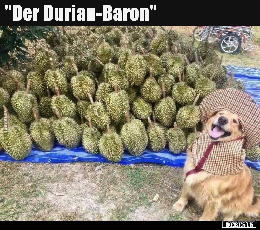 "Der Durian-Baron"..
