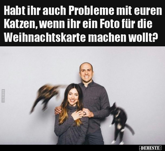 Habt ihr auch Probleme mit euren Katzen, wenn ihr ein Foto.. - Lustige Bilder | DEBESTE.de