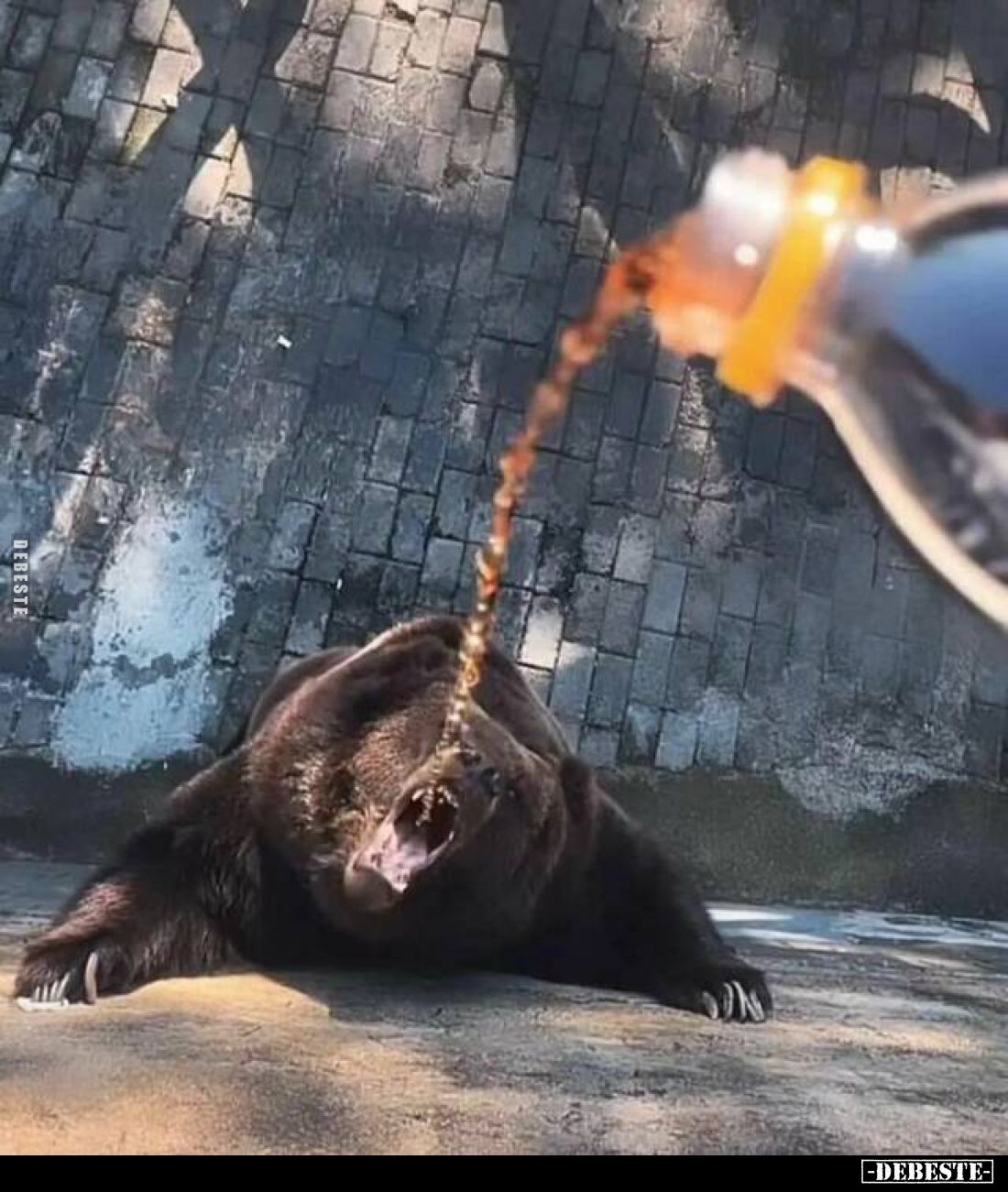 Was kann schon schiefgehen...