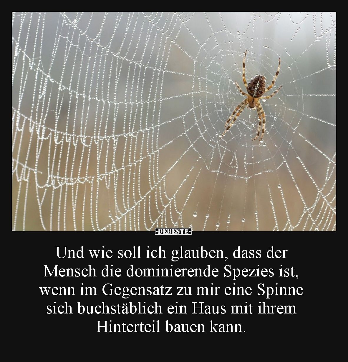 Und wie soll ich glauben, dass der Mensch die.. - Lustige Bilder | DEBESTE.de