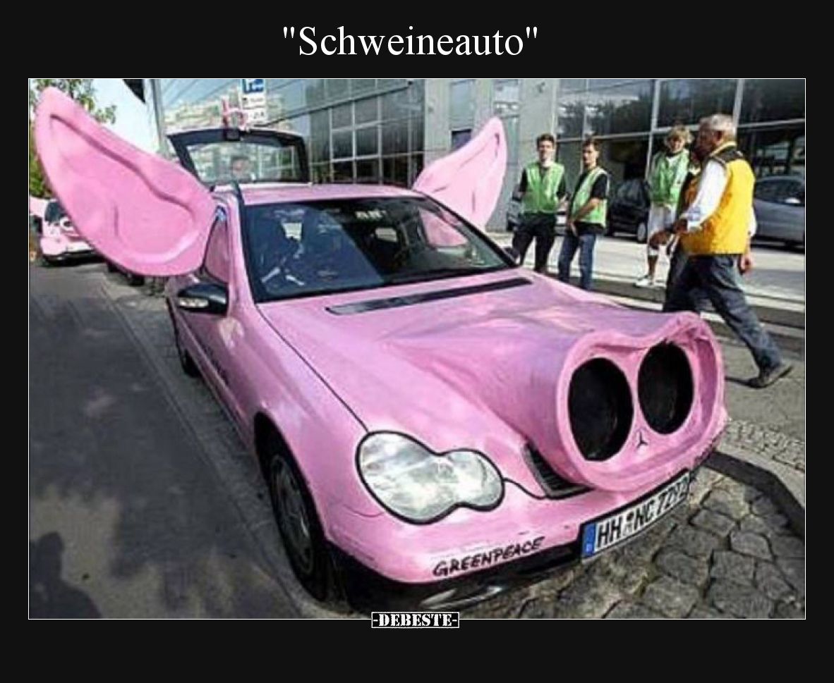 Schweineauto