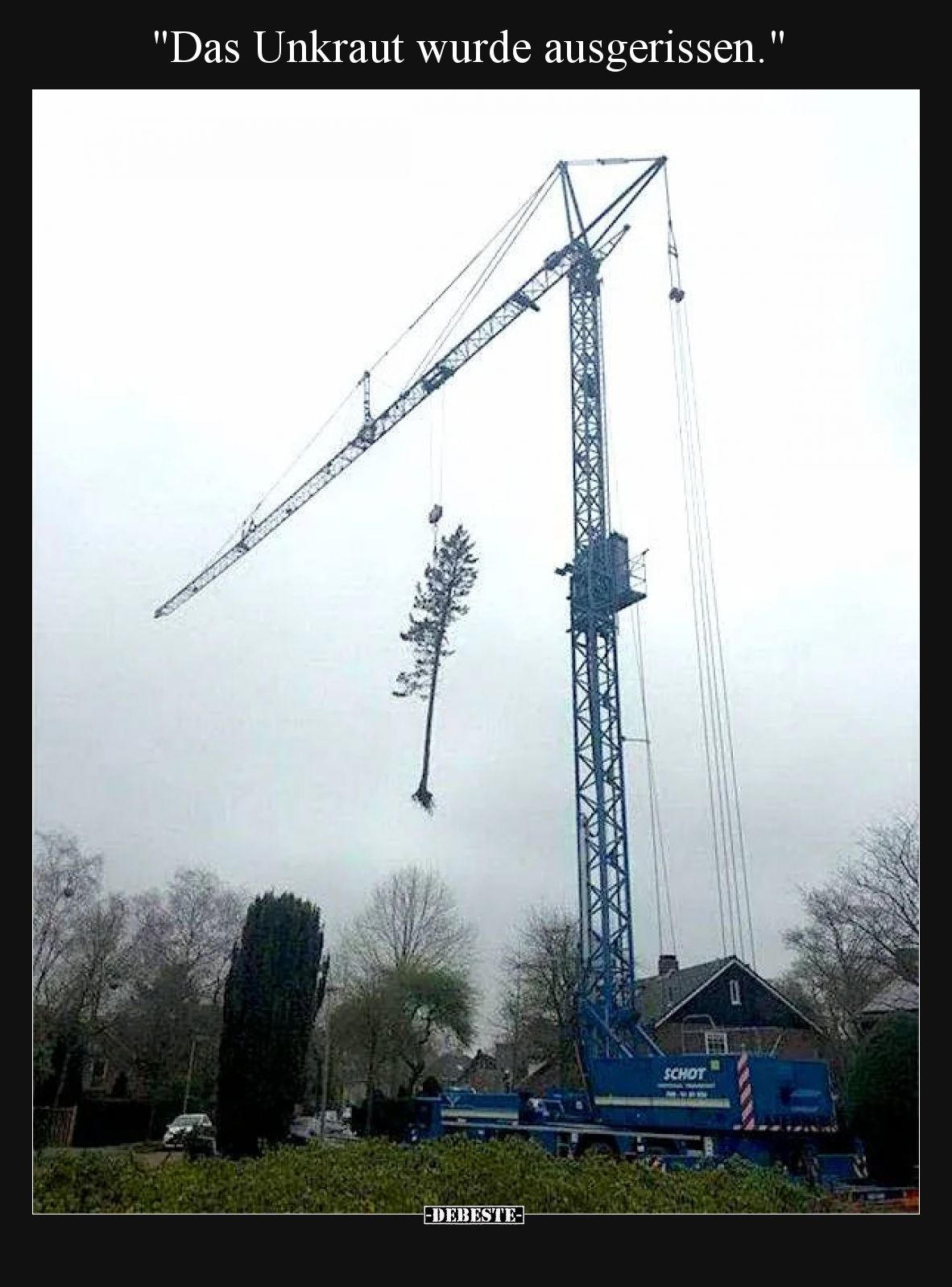 Das Unkraut wurde ausgerissen.