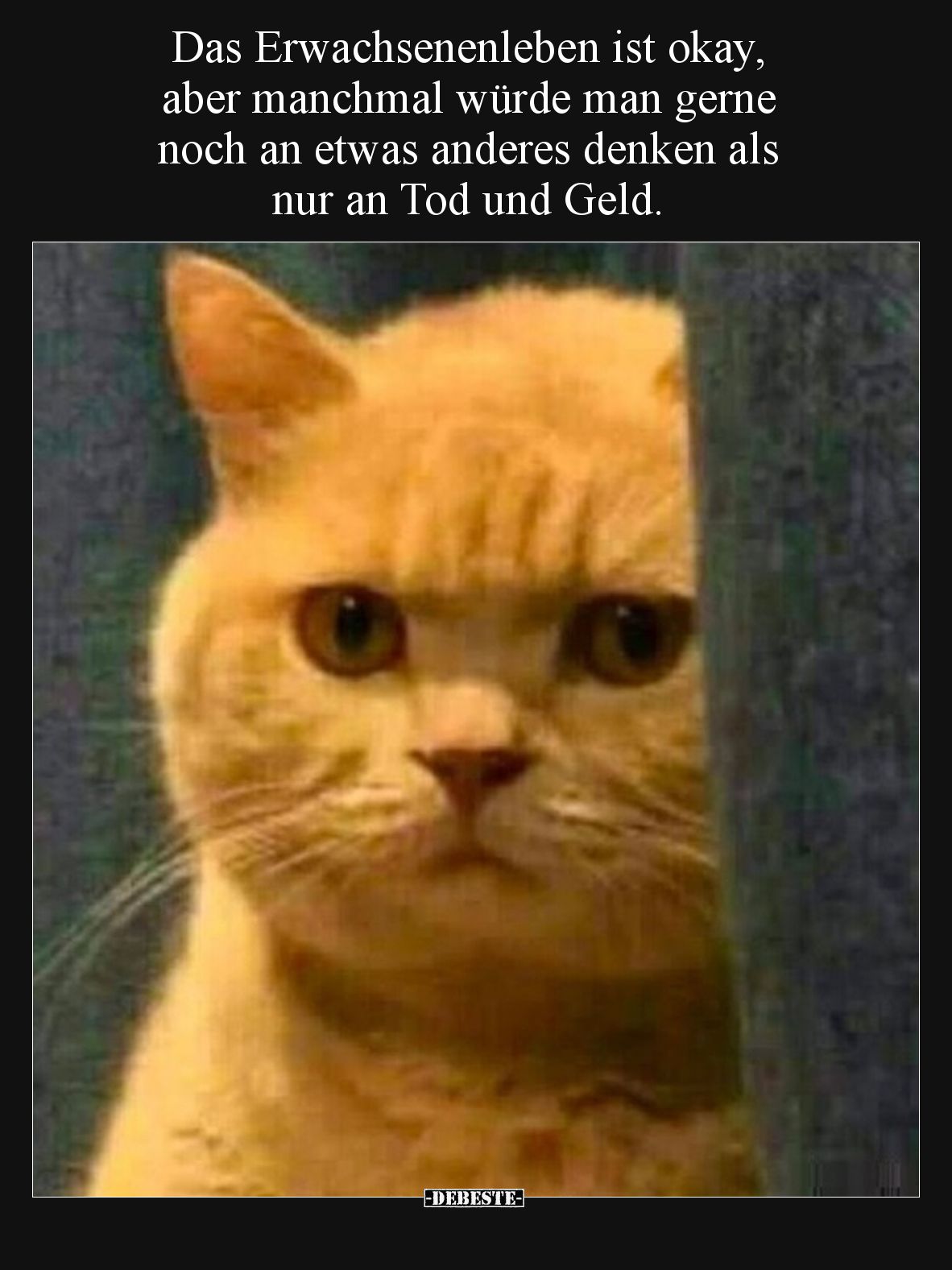 Das Erwachsenenleben ist okay, aber manchmal würde man gerne noch an etwas anderes denken als nur an Tod und Geld.