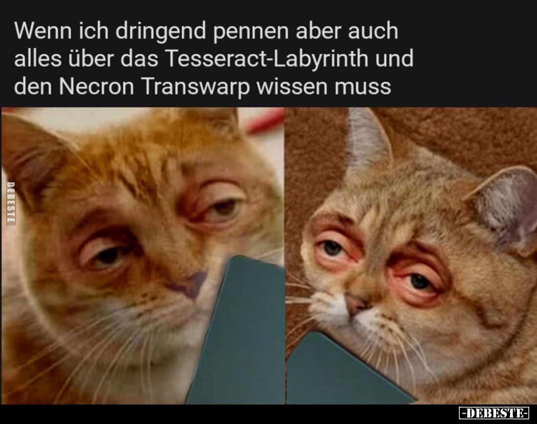 Wenn ich dringend pennen aber auch alles über das Tesseract-Labyrinth und den Necron Transwarp wissen muss