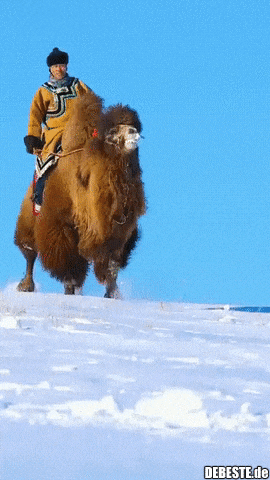 Wüste ist Wüste...