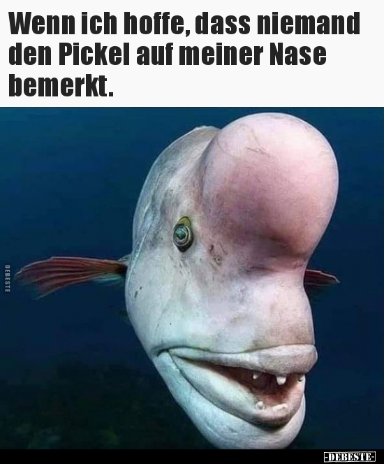 Wenn ich hoffe, dass niemand den Pickel auf meiner Nase.. - Lustige Bilder | DEBESTE.de