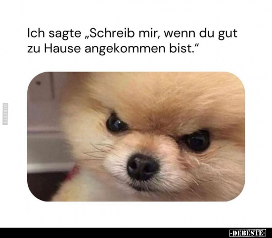 Ich sagte "Schreib mir, wenn du gut zu Hause angekommen.." - Lustige Bilder | DEBESTE.de