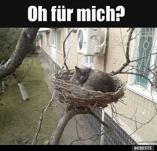 Oh für mich?..