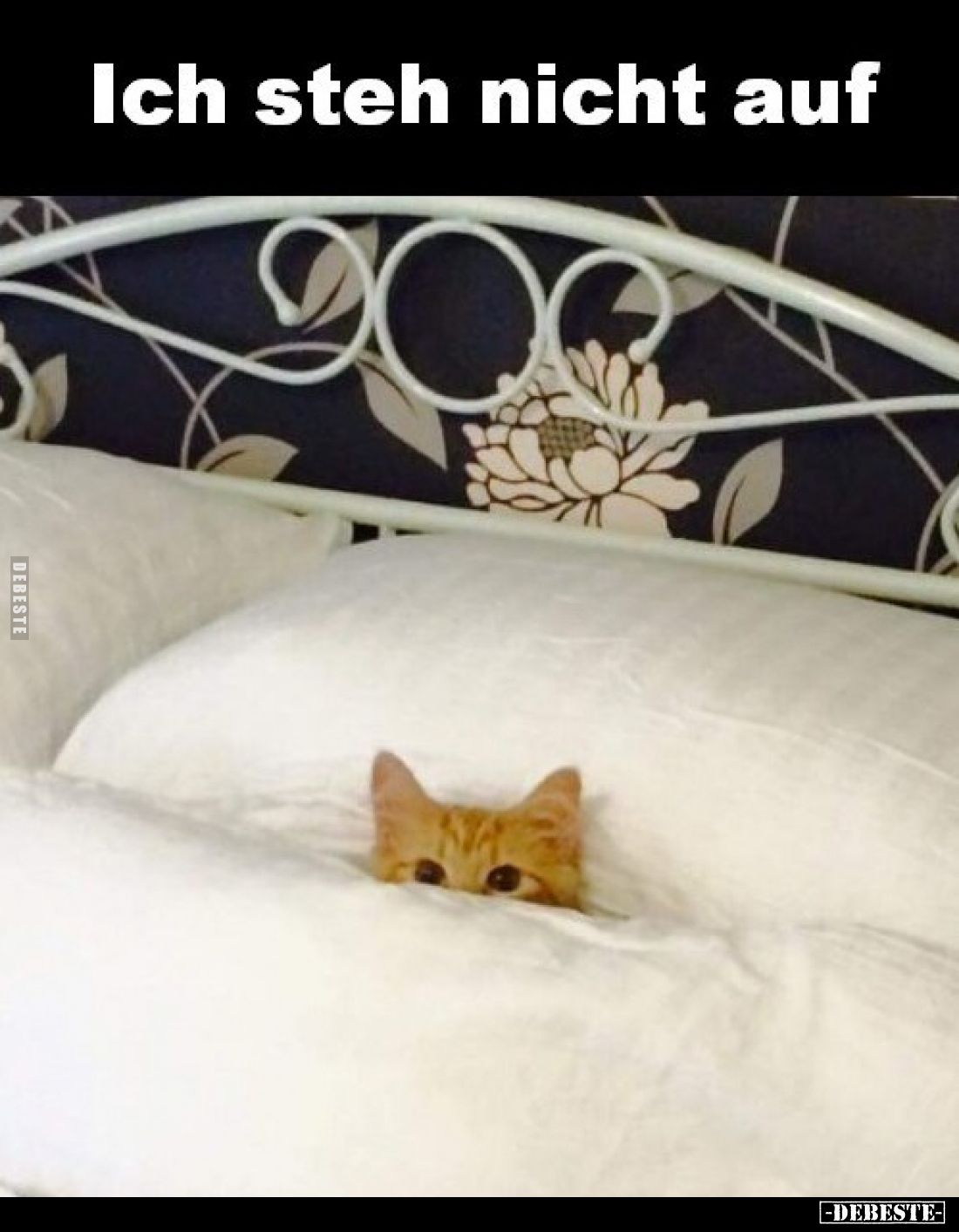 Ich steh nicht auf.. - Lustige Bilder | DEBESTE.de
