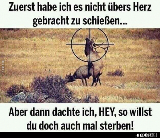 Zuerst habe ich es nicht übers Herz gebracht zu..