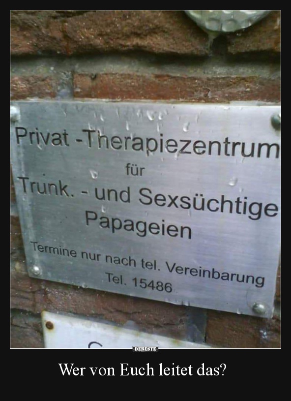 Wer von Euch leitet das?