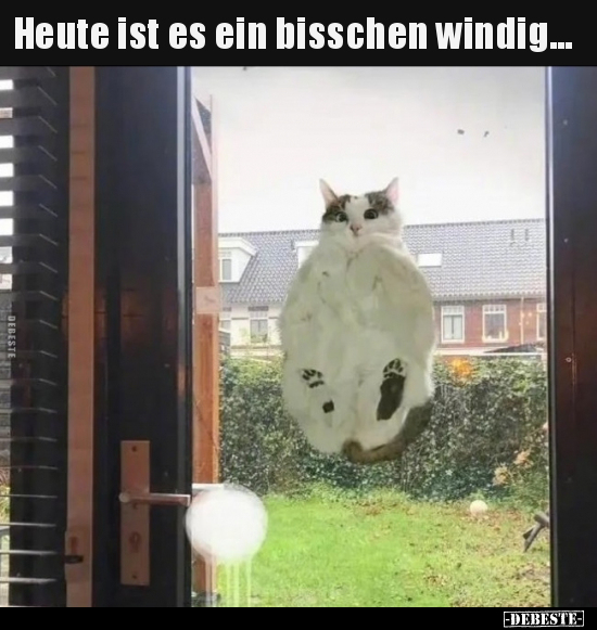 Heute ist es ein bisschen windig... - Lustige Bilder | DEBESTE.de