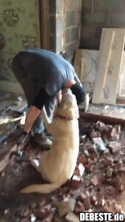 Der Bauarbeiter freundete sich mit dem Hund der Kunden an. - Lustige Bilder | DEBESTE.de