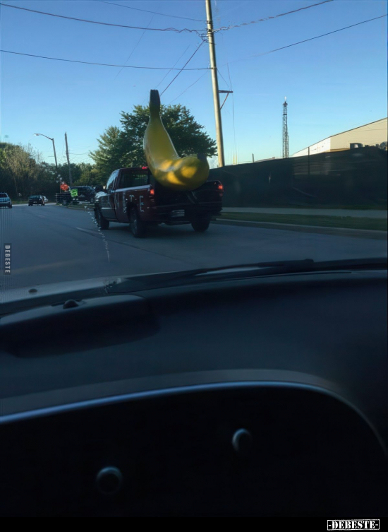  - Lustige Bilder | DEBESTE.de