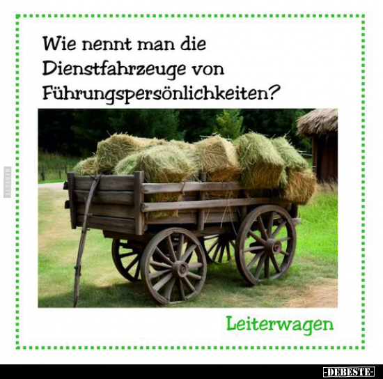 Wie nennt man die Dienstfahrzeuge.. - Lustige Bilder | DEBESTE.de