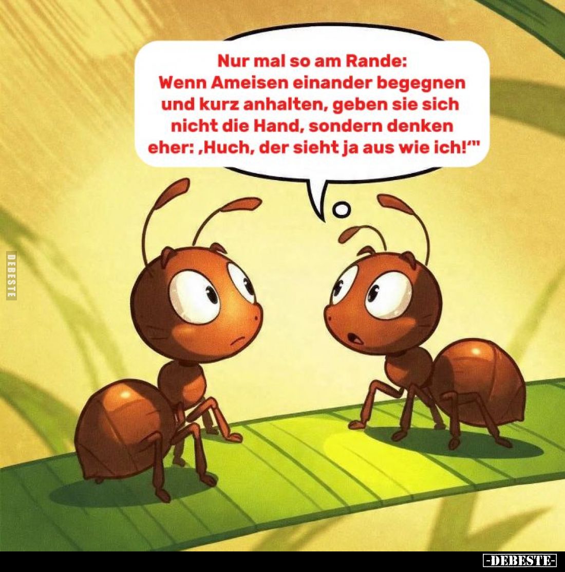 Nur mal so am Rande: Wenn Ameisen einander begegnen und kurz anhalten, geben sie sich nicht die Hand, sondern denken eher: &q...