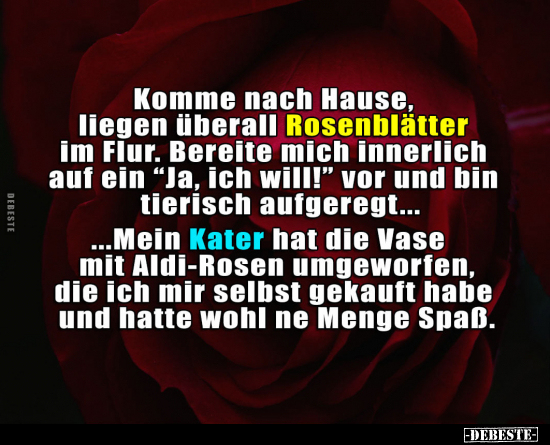 Komme nach Hause, liegen überall Rosenblätter im Flur... - Lustige Bilder | DEBESTE.de