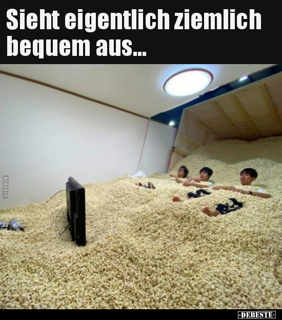 Sieht eigentlich ziemlich bequem aus...