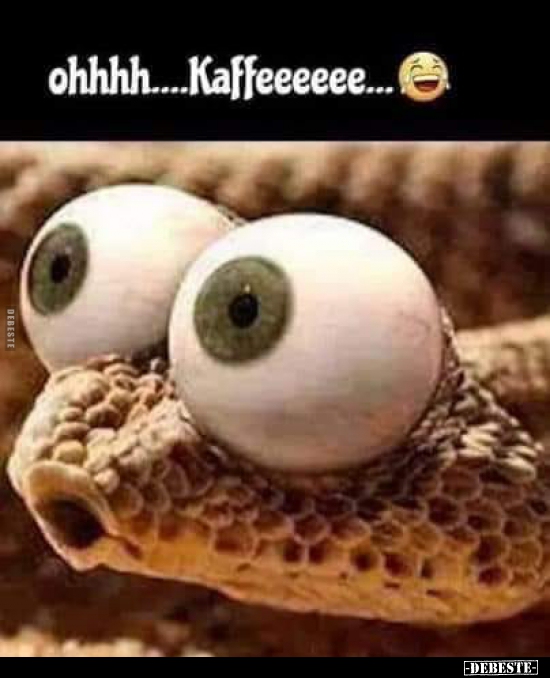 Ohhhh... Kaffeeeeee...