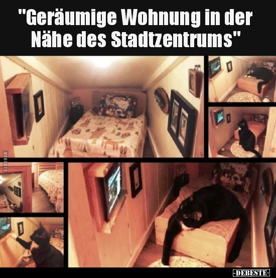 "Geräumige Wohnung in der Nähe des Stadtzentrums".. - Lustige Bilder | DEBESTE.de