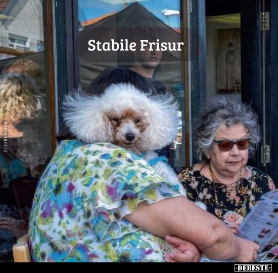Stabile Frisur... - Lustige Bilder | DEBESTE.de