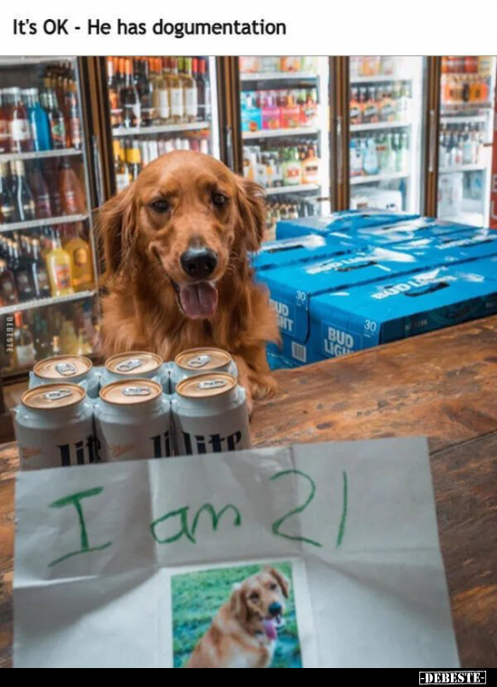 It's OK - He has dogumentation