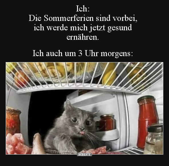 Ich: Die Sommerferien sind vorbei, ich werde mich jetzt.. - Lustige Bilder | DEBESTE.de