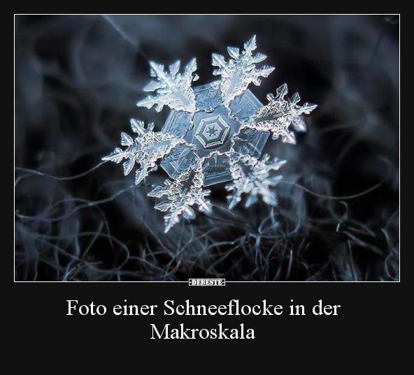 Foto einer Schneeflocke in der Makroskala..