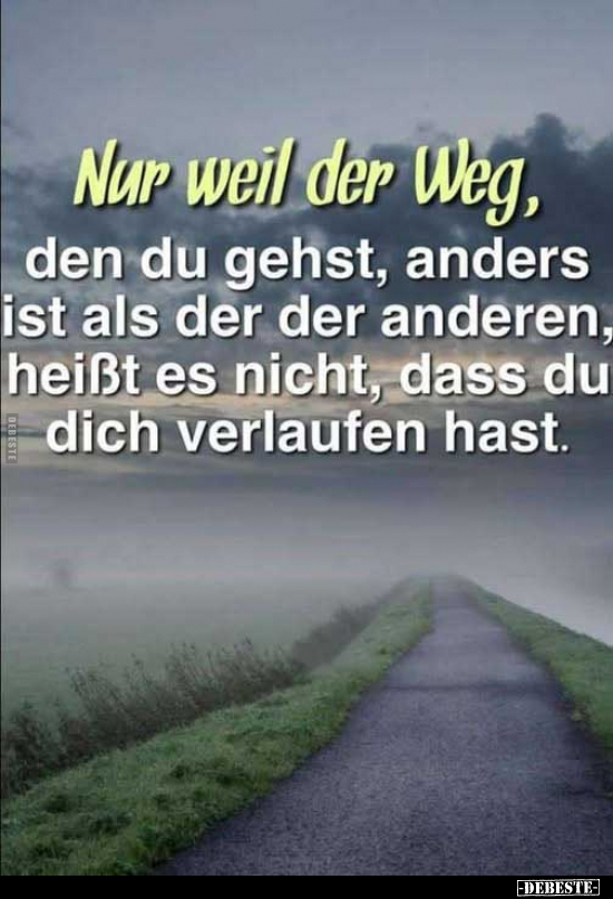 Nur weil der Weg, den du gehst, anders ist als der der anderen.. - Lustige Bilder | DEBESTE.de