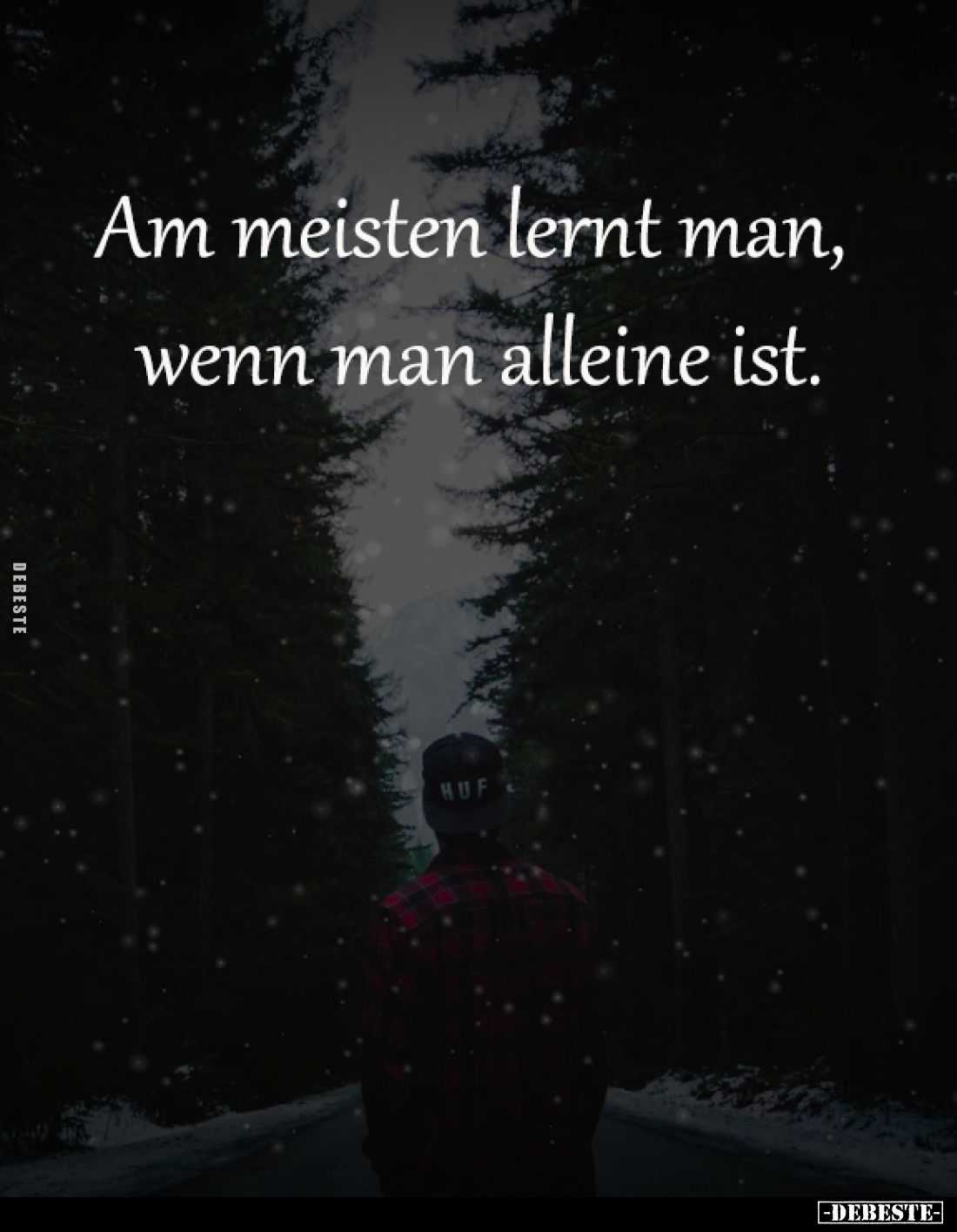 Am meisten lernt man, 
wenn man alleine ist.