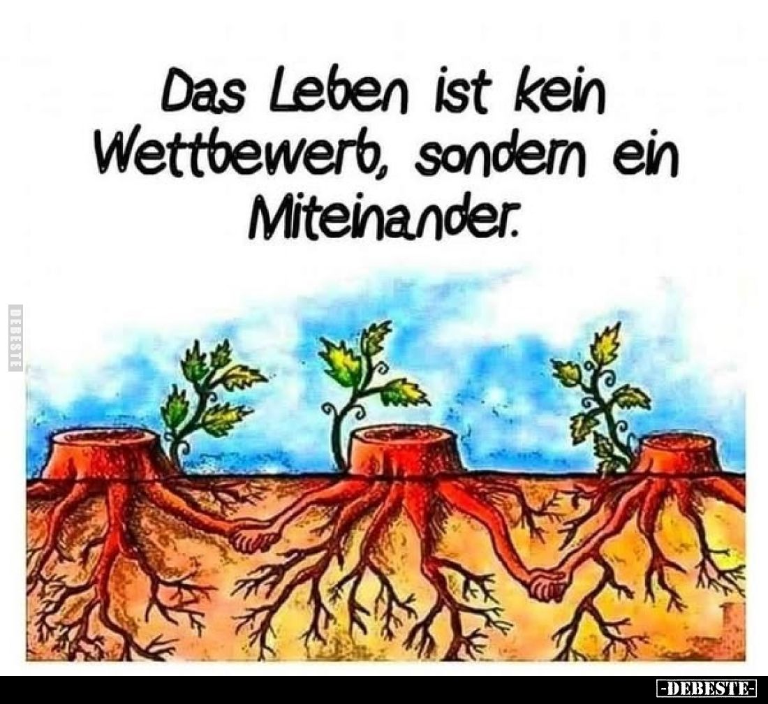 Das Leben ist kein Wettbewerb, sondern ein Miteinander.