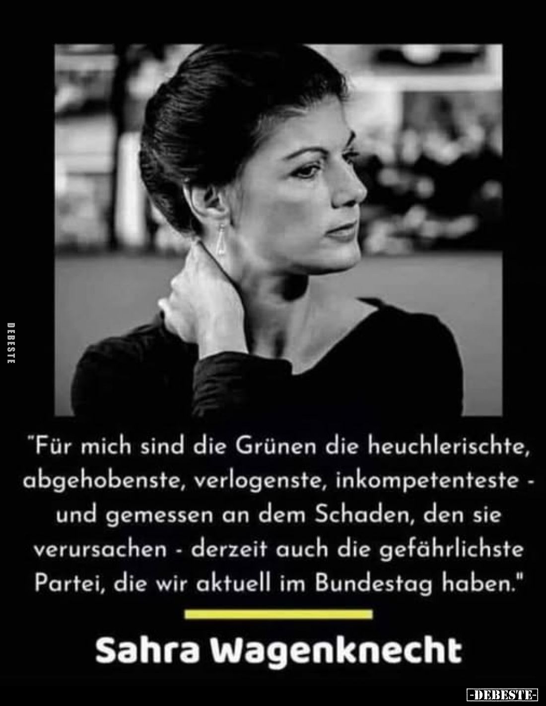 "Für mich sind die Grünen die heuchlerischte, abgehobenste, verlogenste, inkompetenteste - und gemessen an dem Schaden, ...