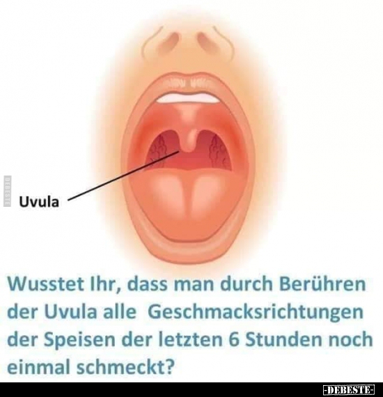 Uvula Wusstet Ihr, dass man durch Berühren der Uvula alle..
