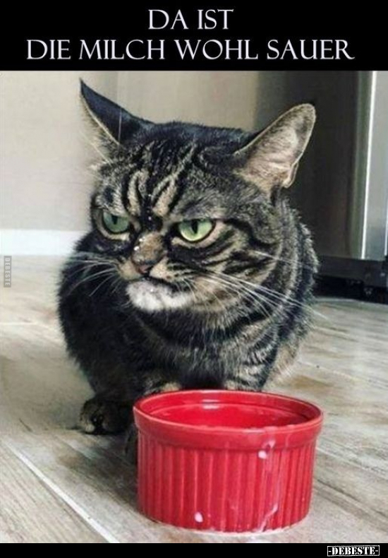 Da ist die Milch wohl sauer...
